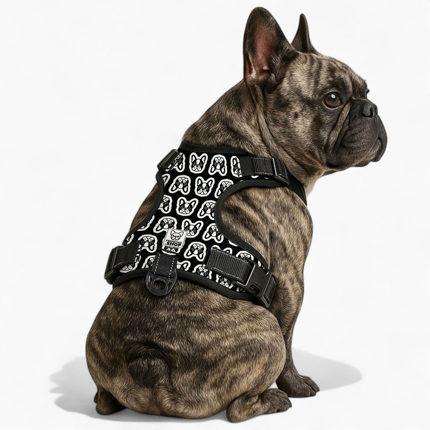 Cora -  No-Pull French Bulldog Dog Harness