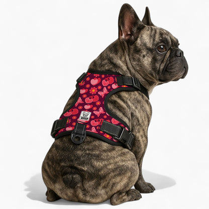 Jacqueline -  No-Pull French Bulldog Dog Harness