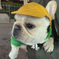 Stylish Sunshade Hat for French Bulldogs - Exposed Ears Protection
