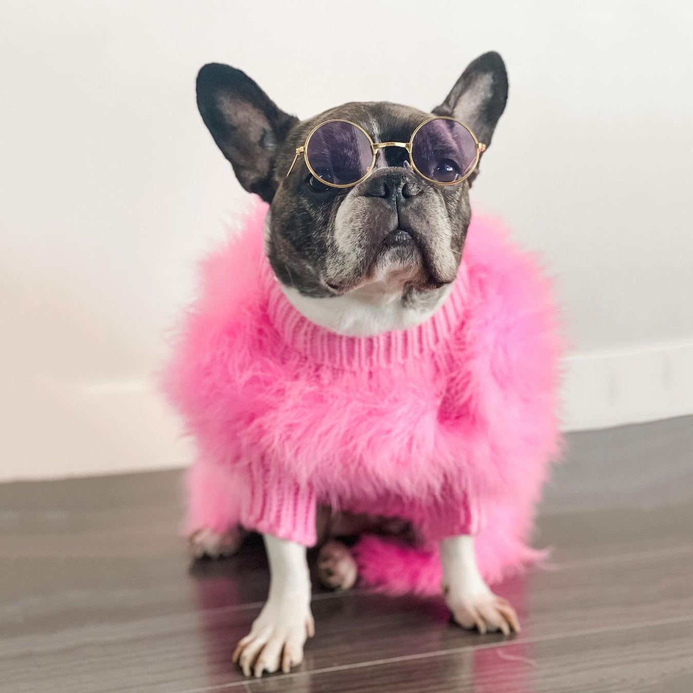 PlumePup-Luxury-Feather-Frenchie-Sweater-Plush-Comfort-for-Your-Stylish-Pup-www.frenchie.shop