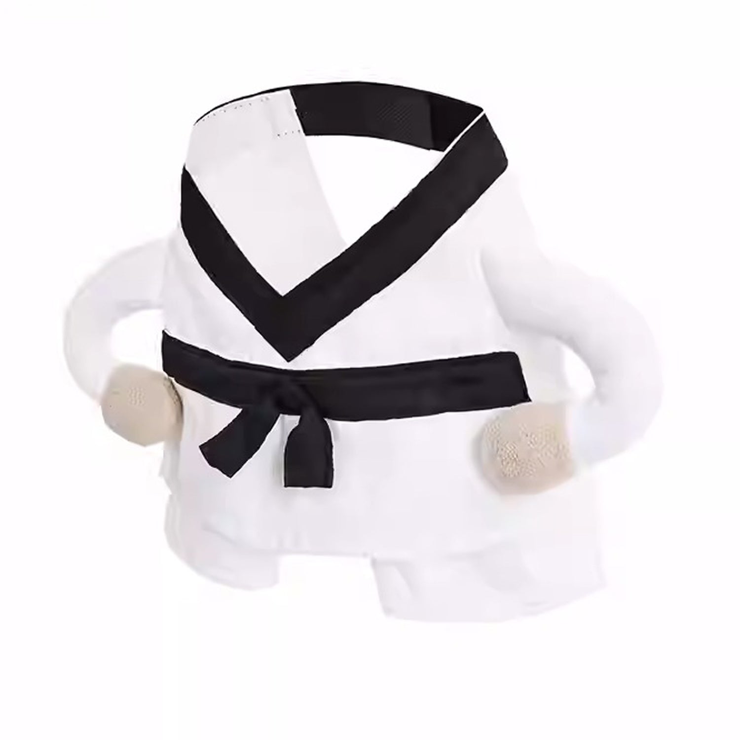 Halloween Martial Arts Costume