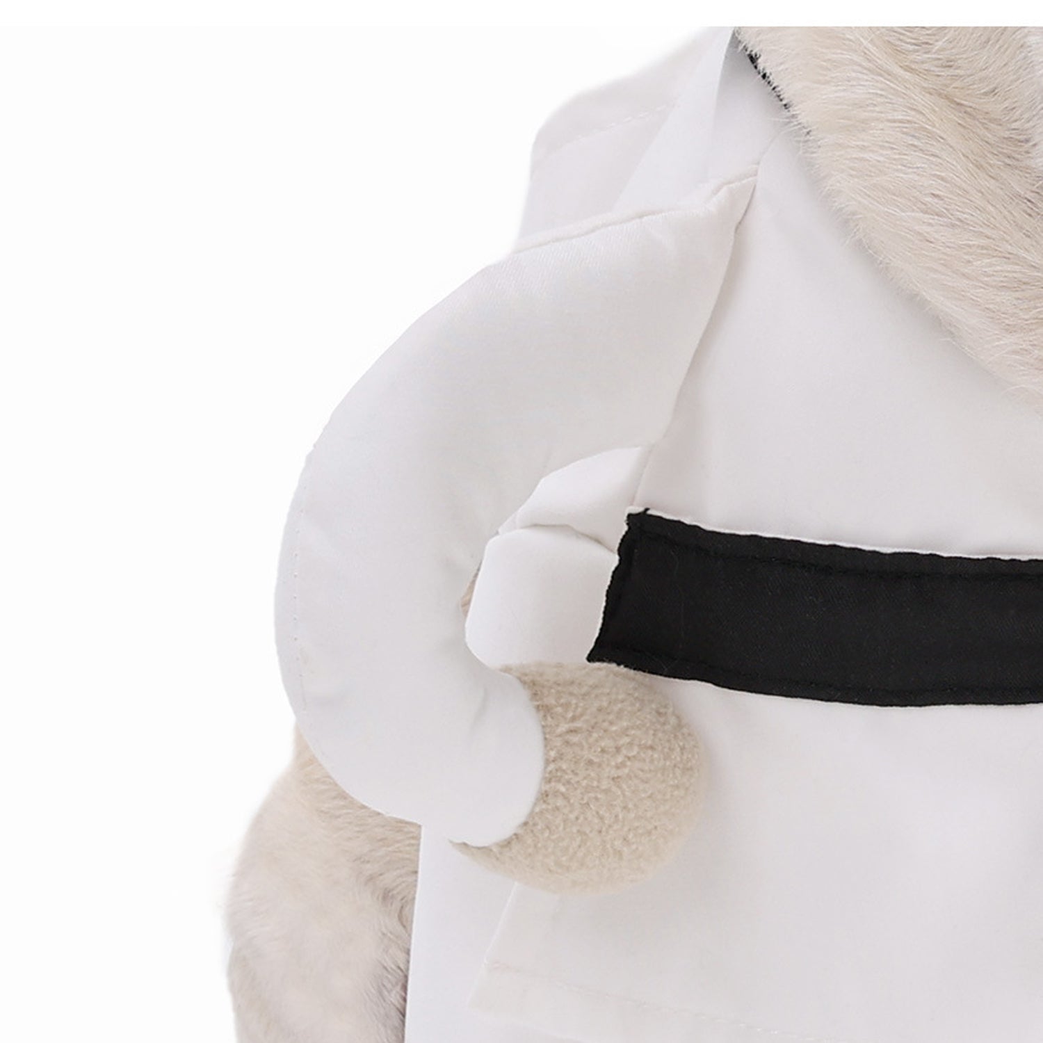 Halloween Martial Arts Costume for frenchies