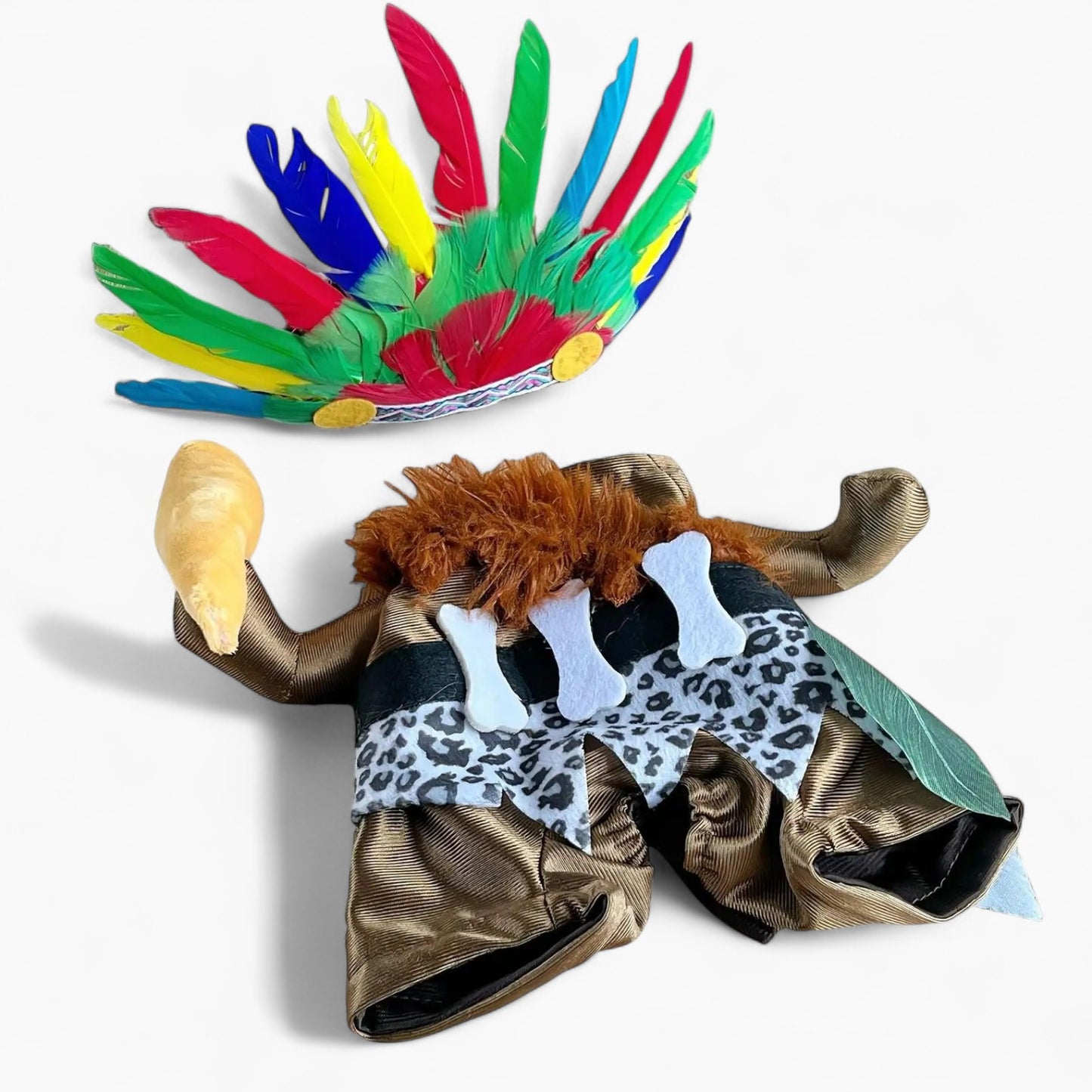 Halloween Pet Outfit