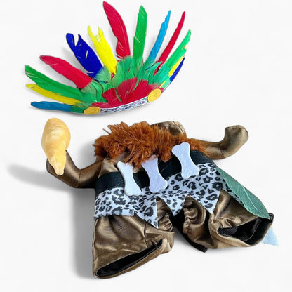 Halloween Pet Outfit