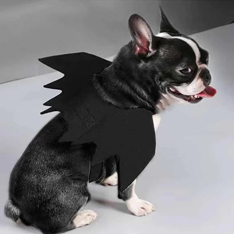 Halloween Wings Dog Costume