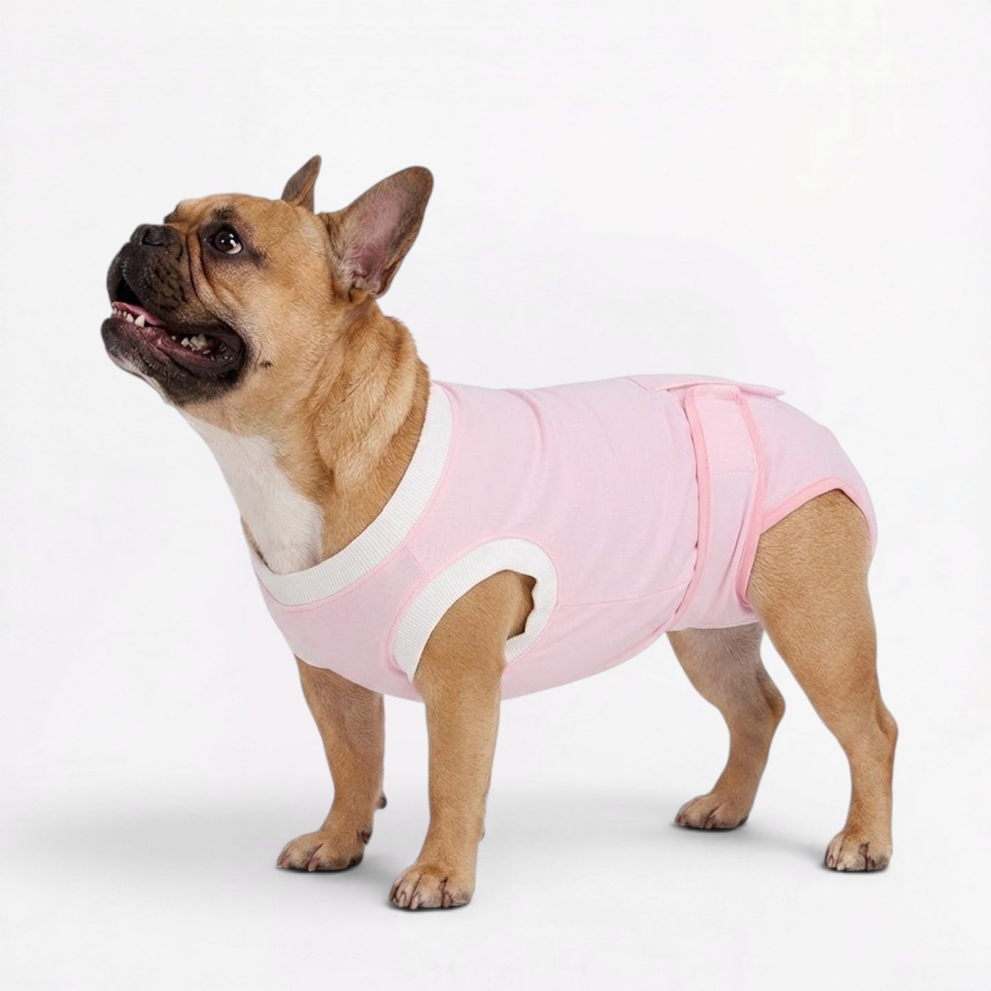 Healix-French-Bulldog-Recovery-Suit.jpg