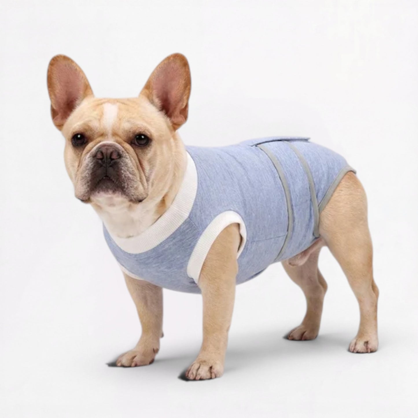 Healix-French-Bulldog-Recovery-Suit.jpg