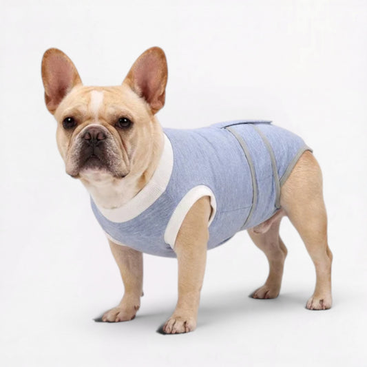 Healix-French-Bulldog-Recovery-Suit.jpg