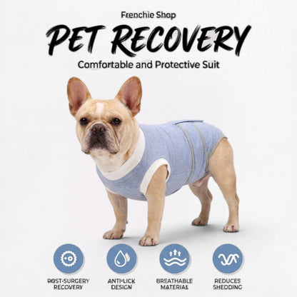 Healix-French-Bulldog-Recovery-Suit.jpg