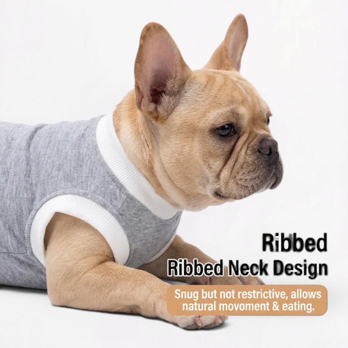 Healix-French-Bulldog-Recovery-Suit.jpg
