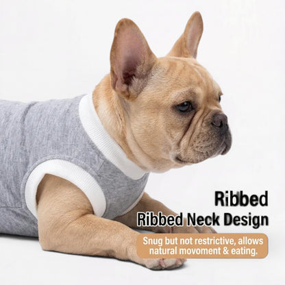 Healix-French-Bulldog-Recovery-Suit.jpg