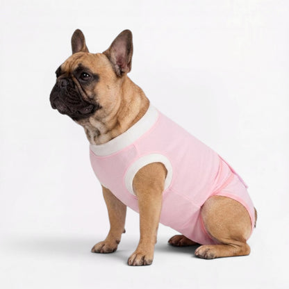 Healix-French-Bulldog-Recovery-Suit.jpg