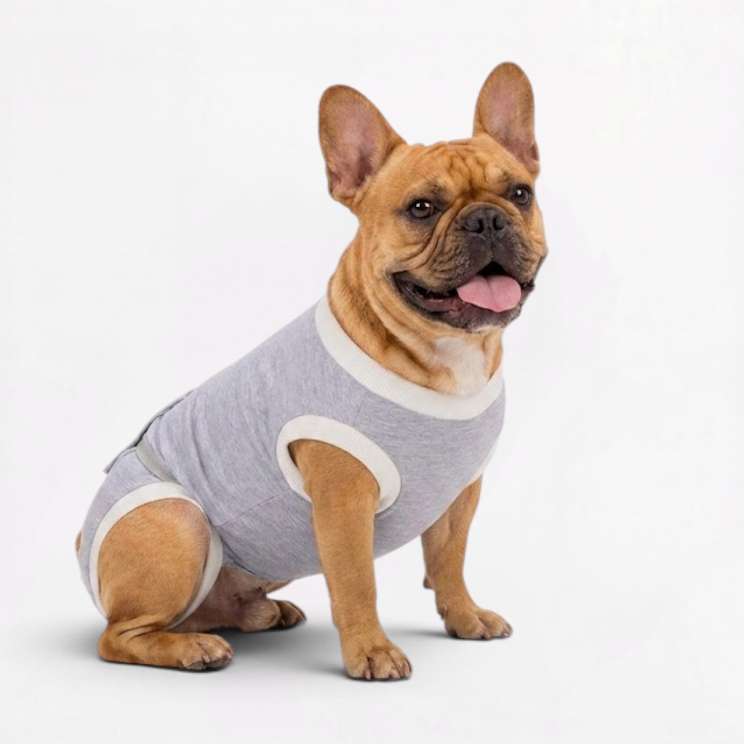 Healix-French-Bulldog-Recovery-Suit.jpg