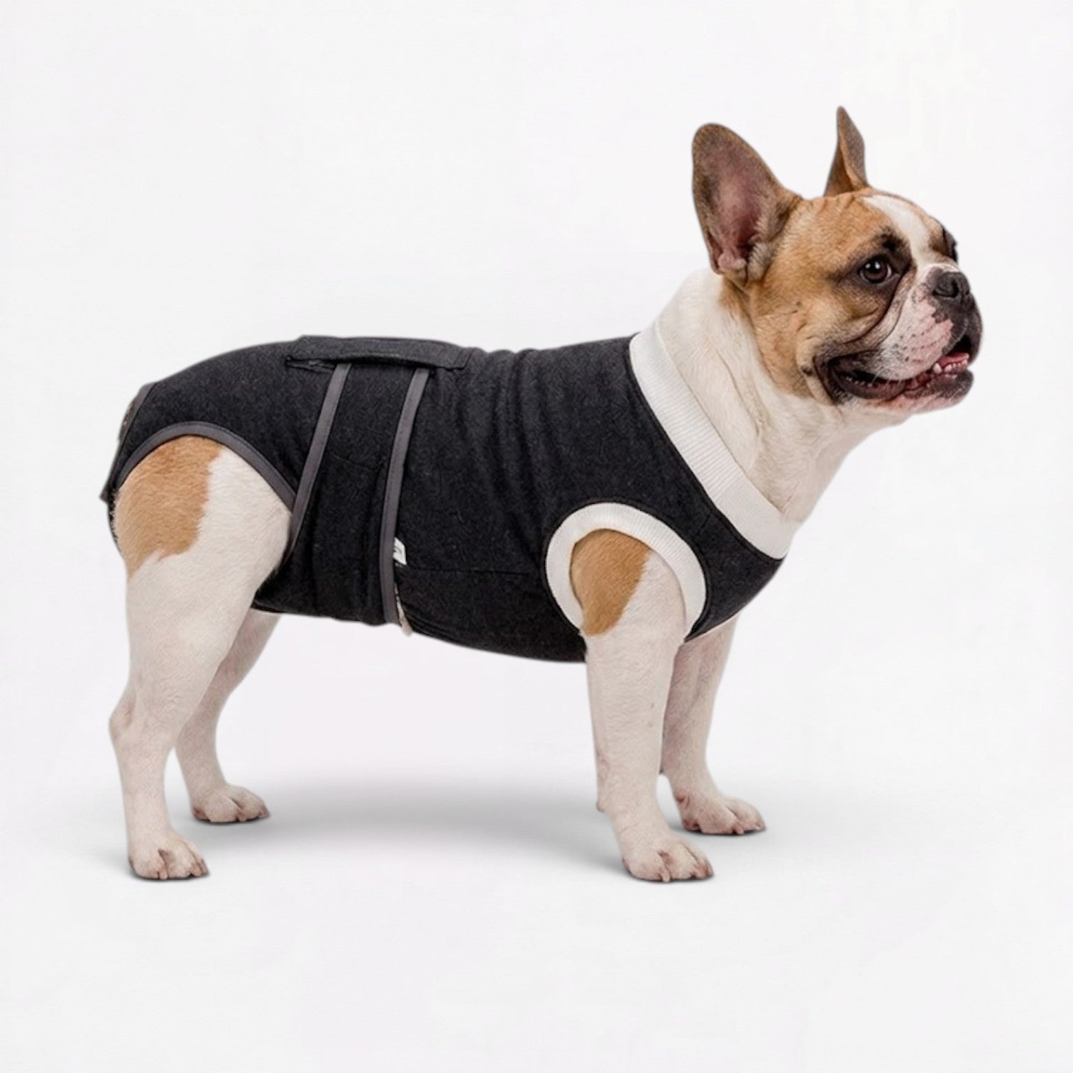 Healix-French-Bulldog-Recovery-Suit.jpg
