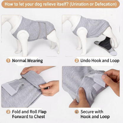 Healix-French-Bulldog-Recovery-Suit.jpg