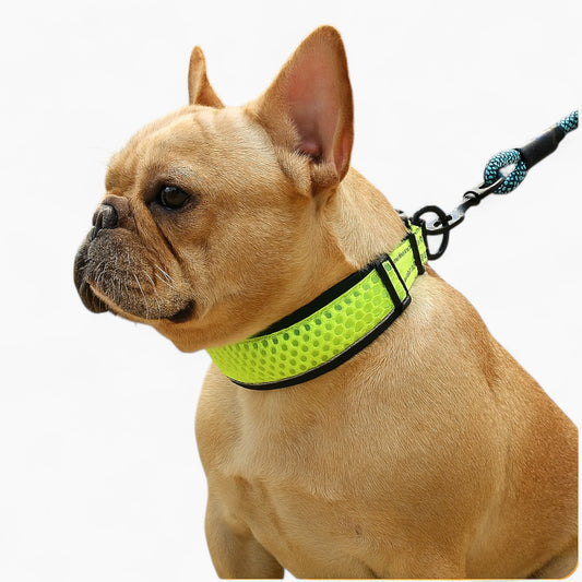 Hexafur-Frenchie-Reflective-Collar.jpg