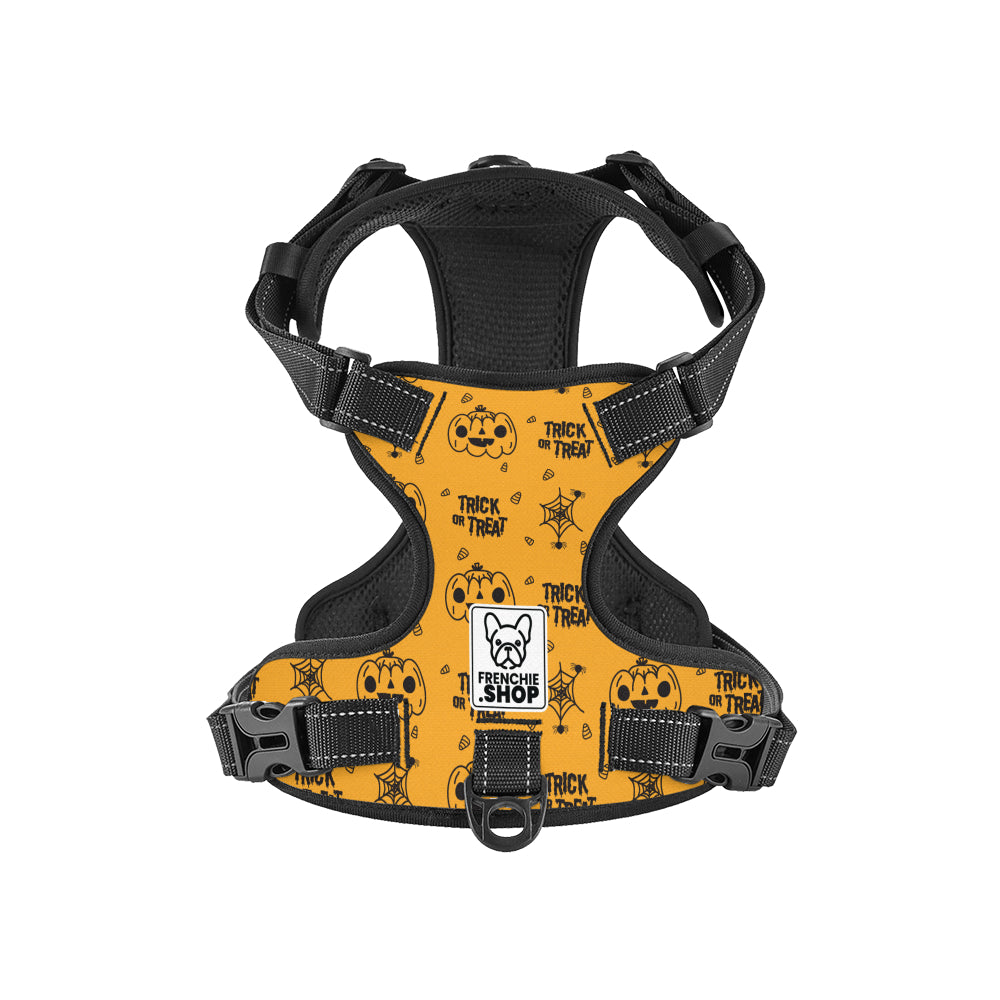 Holly No-Pull Frenchie Harness