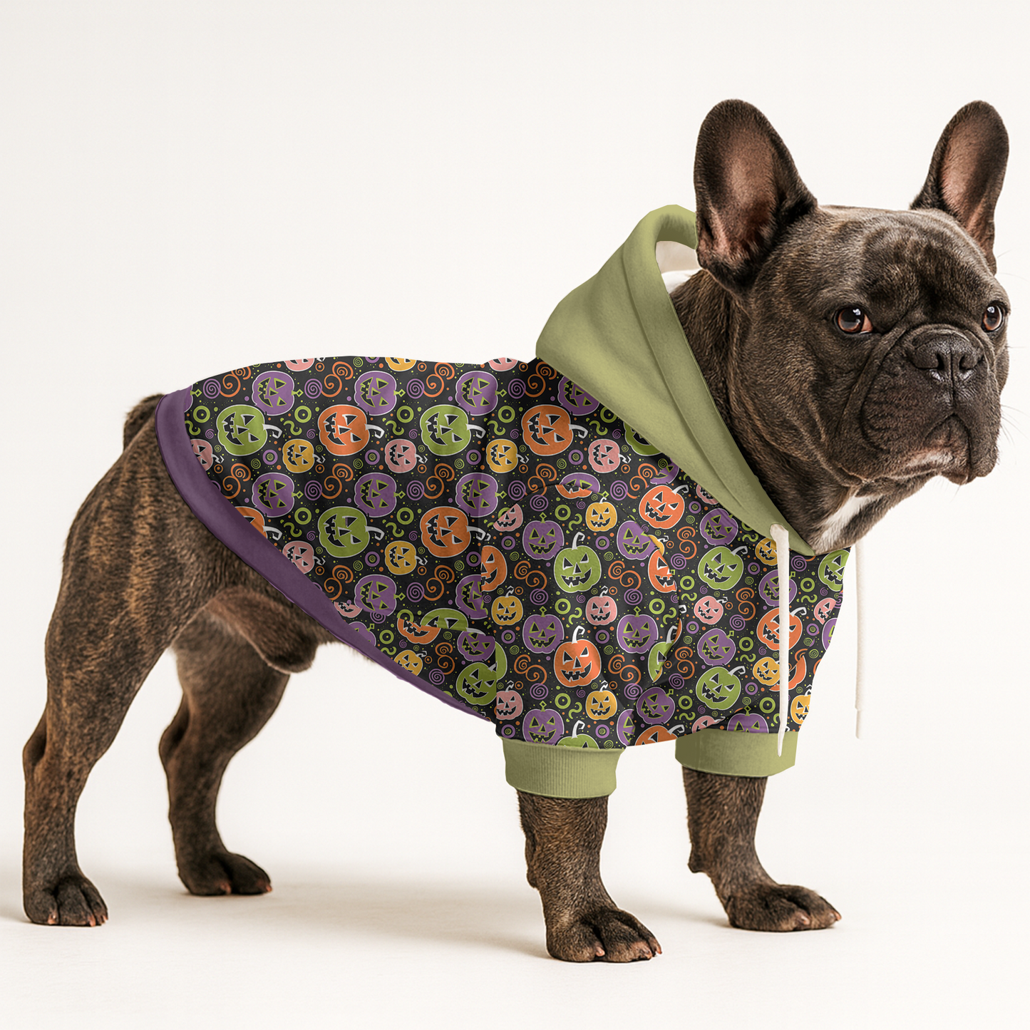 Beau - Frenchie hoodie