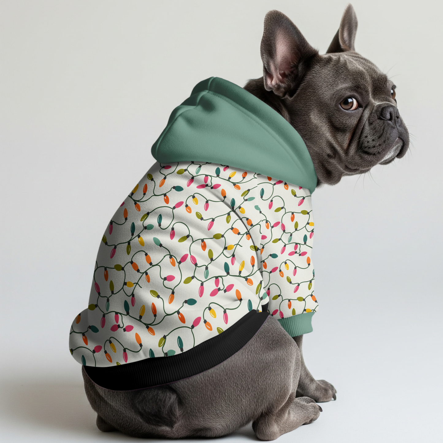 Bruno - Frenchie hoodie