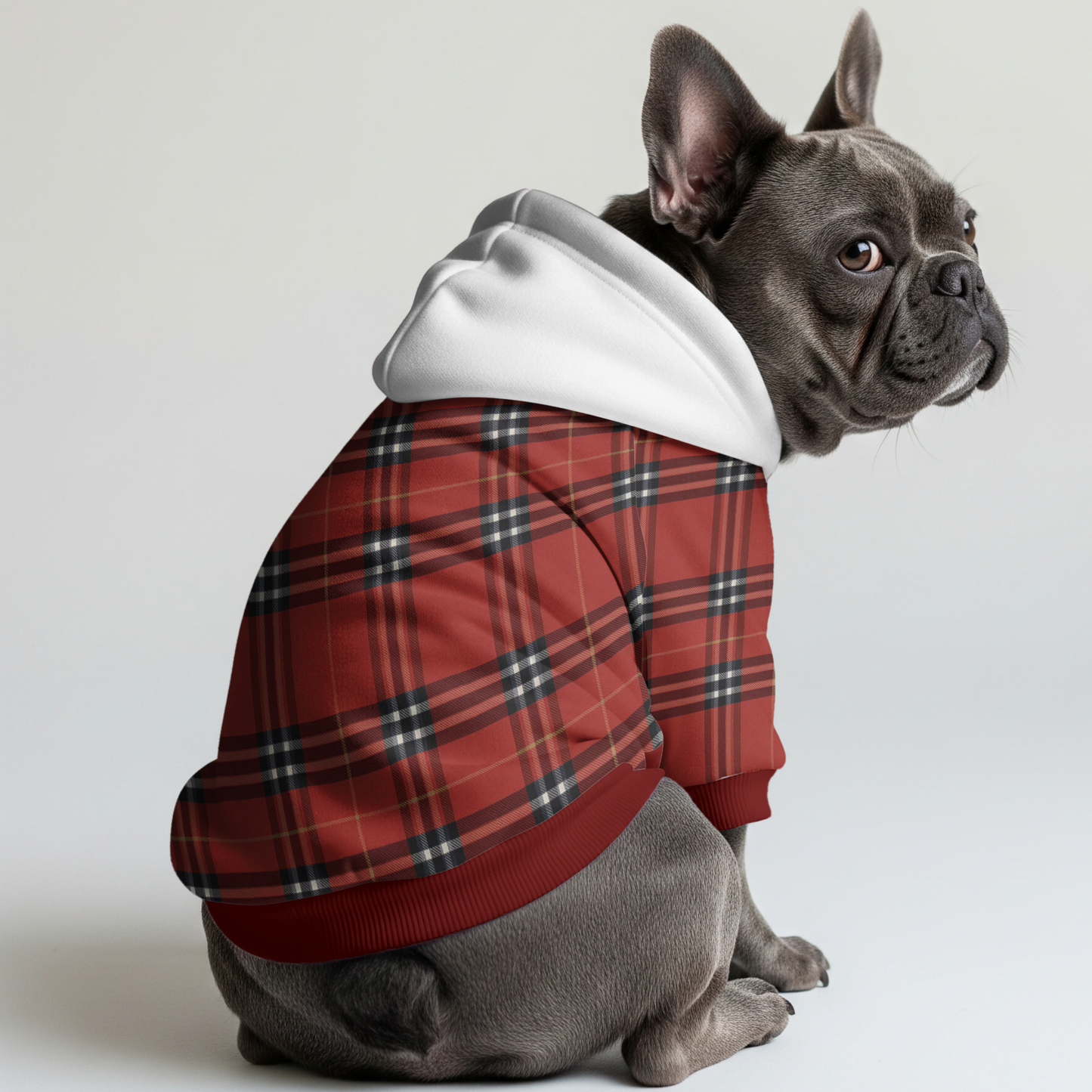 Christmas - Frenchie hoodie