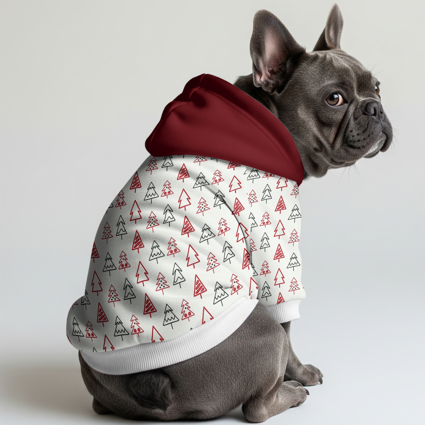 Rocky - Frenchie hoodie