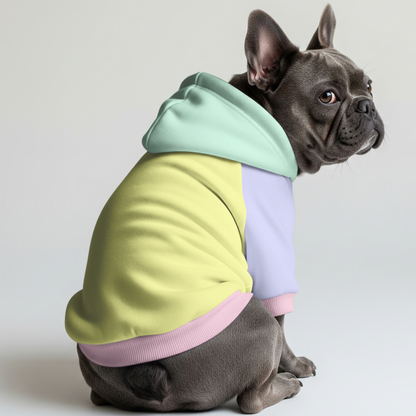 Daisy - Frenchie hoodie