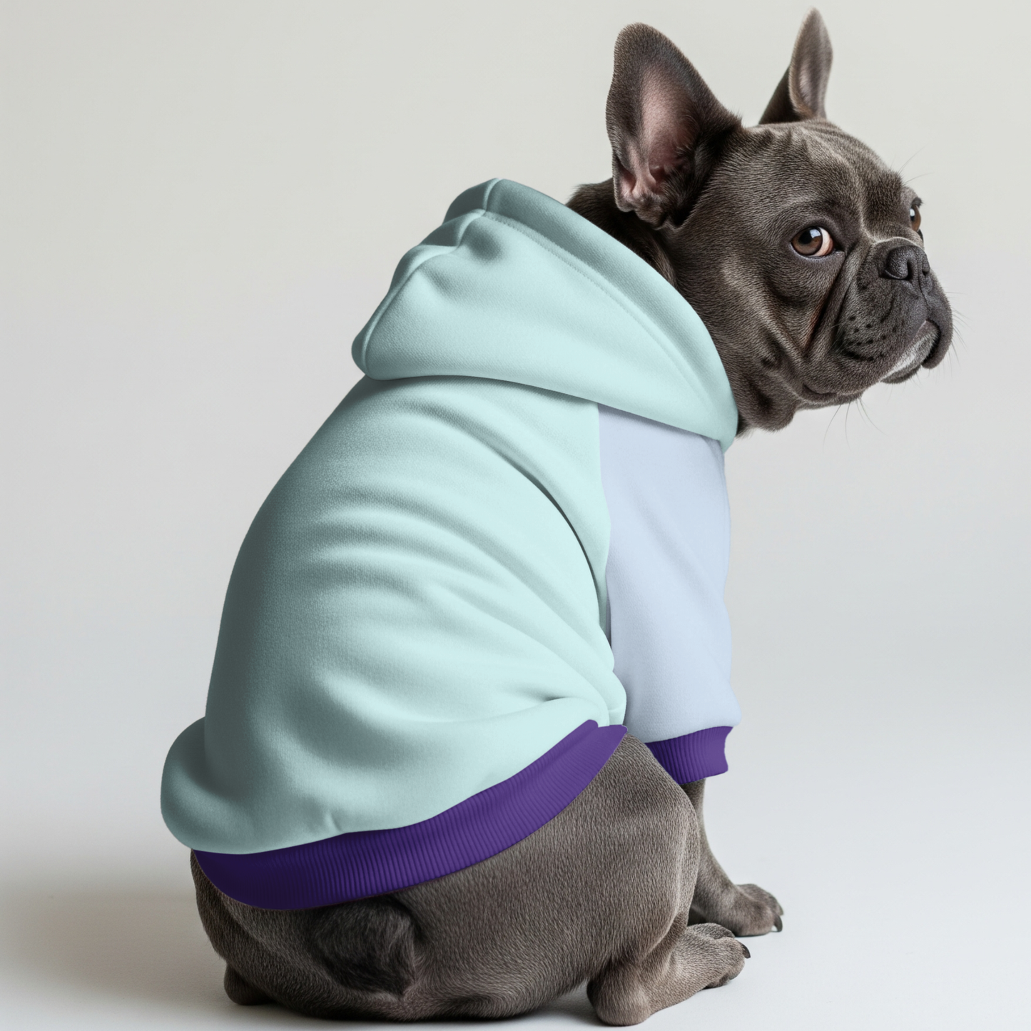 Bella - Frenchie hoodie