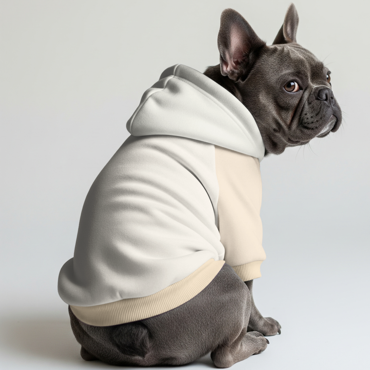 Leo - Frenchie hoodie