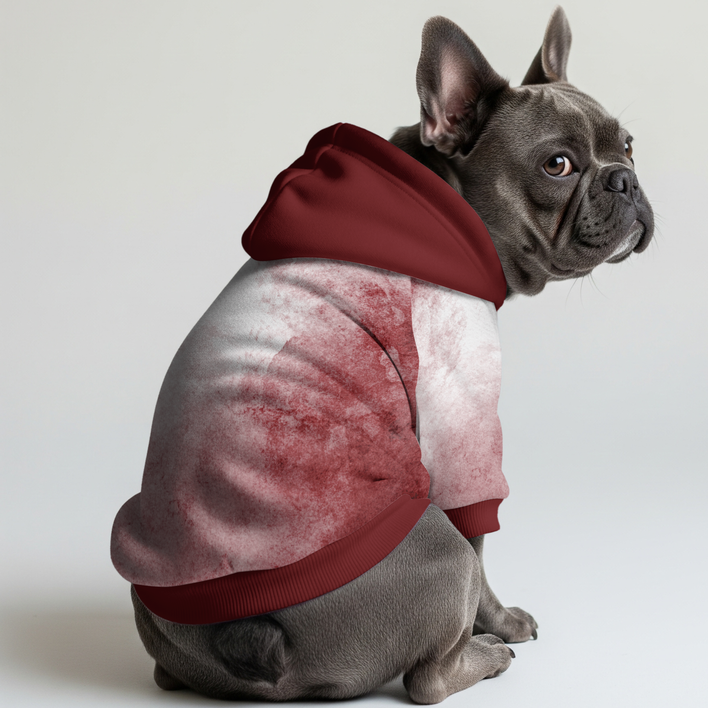 Monty - Frenchie hoodie