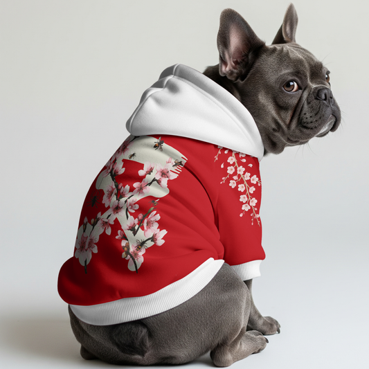 Darwin - Frenchie hoodie