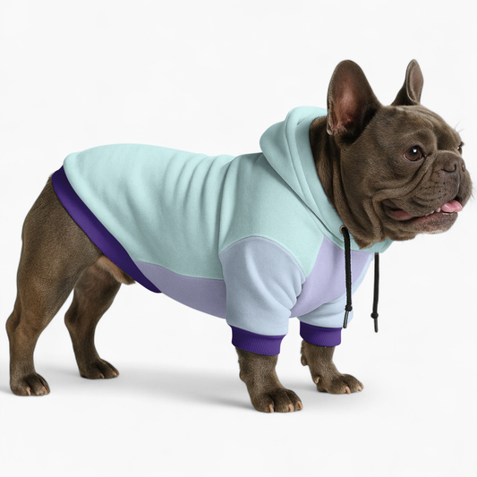 Bella - Frenchie hoodie