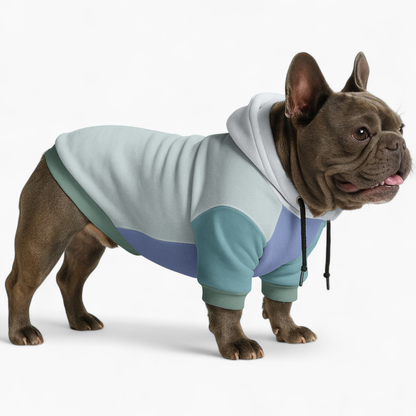 Ross - Frenchie hoodie