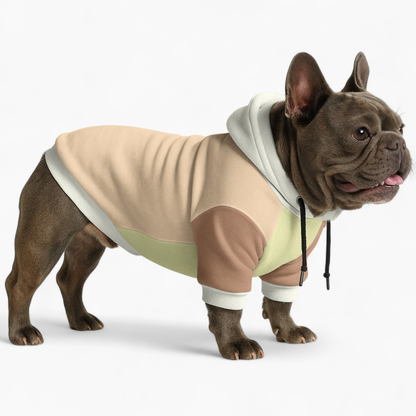 Teddy - Frenchie hoodie