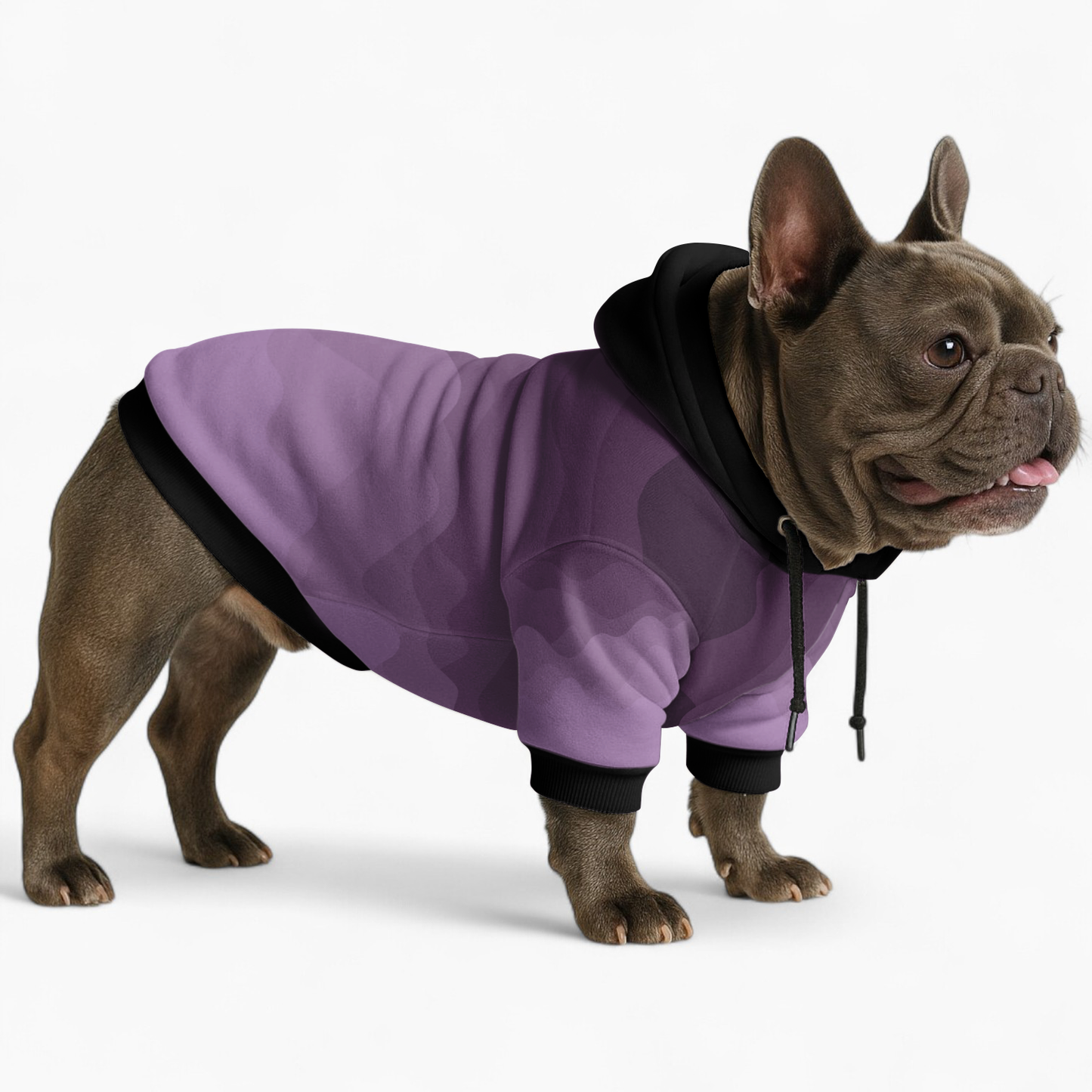 Goldie - Frenchie hoodie