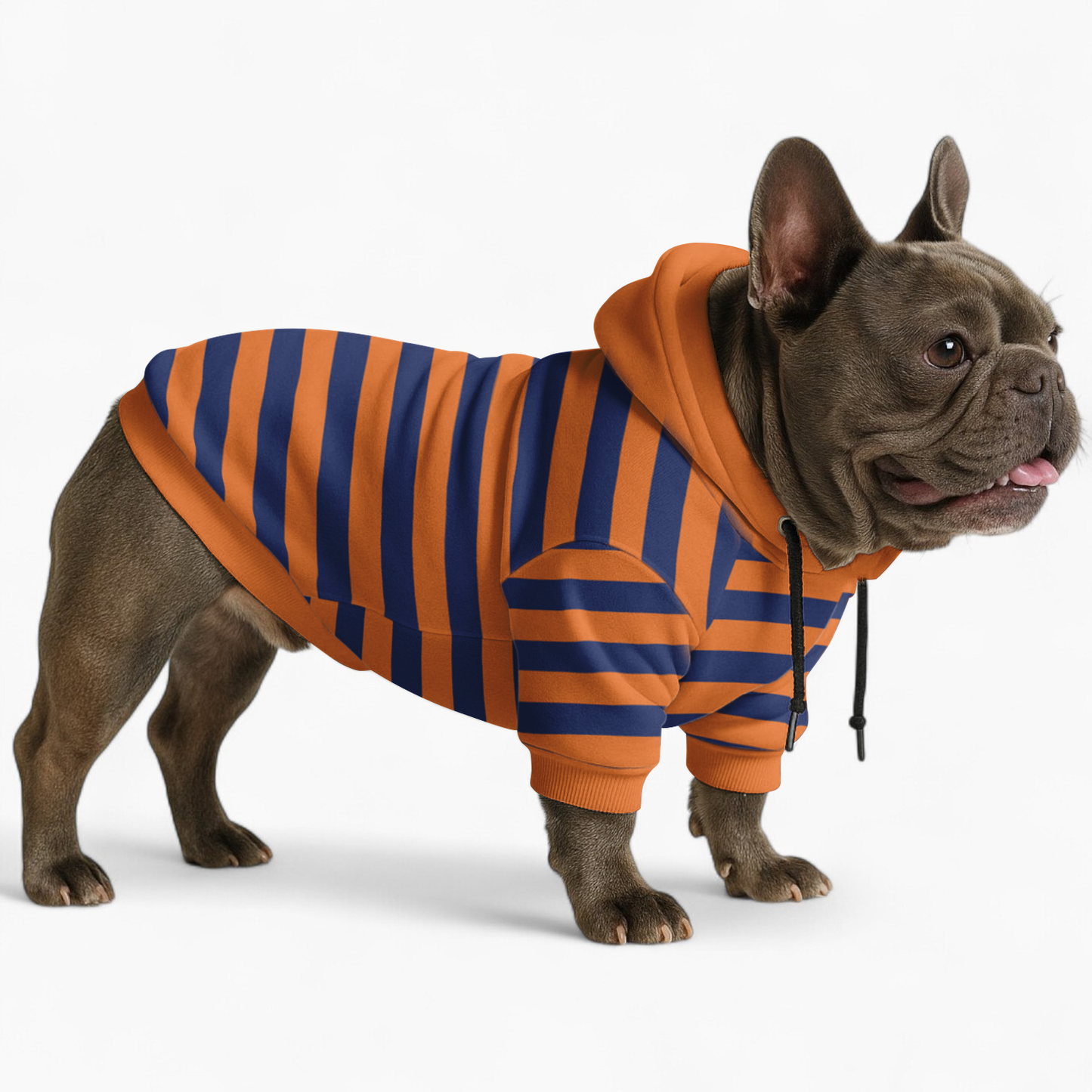 Jessie - Frenchie hoodie