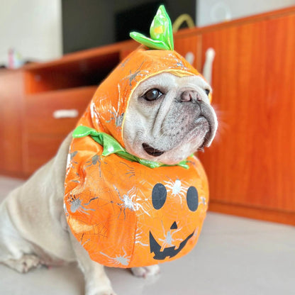 Howlkin Frenchie Pumpkin Costume with Hat 