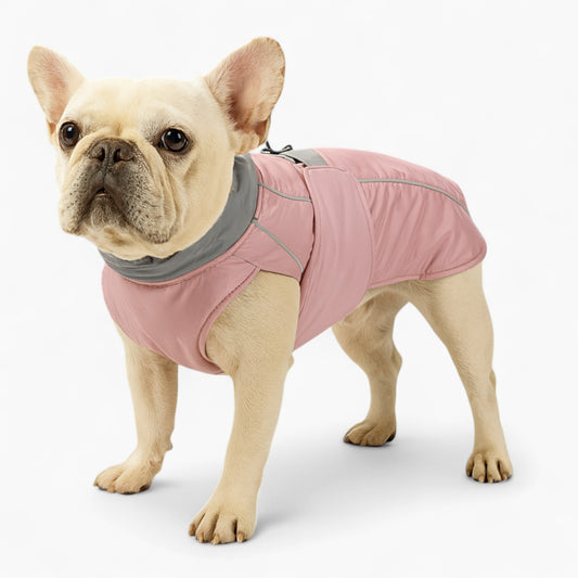 Hydruff-French-Bulldog-Warm-Vest.jpg