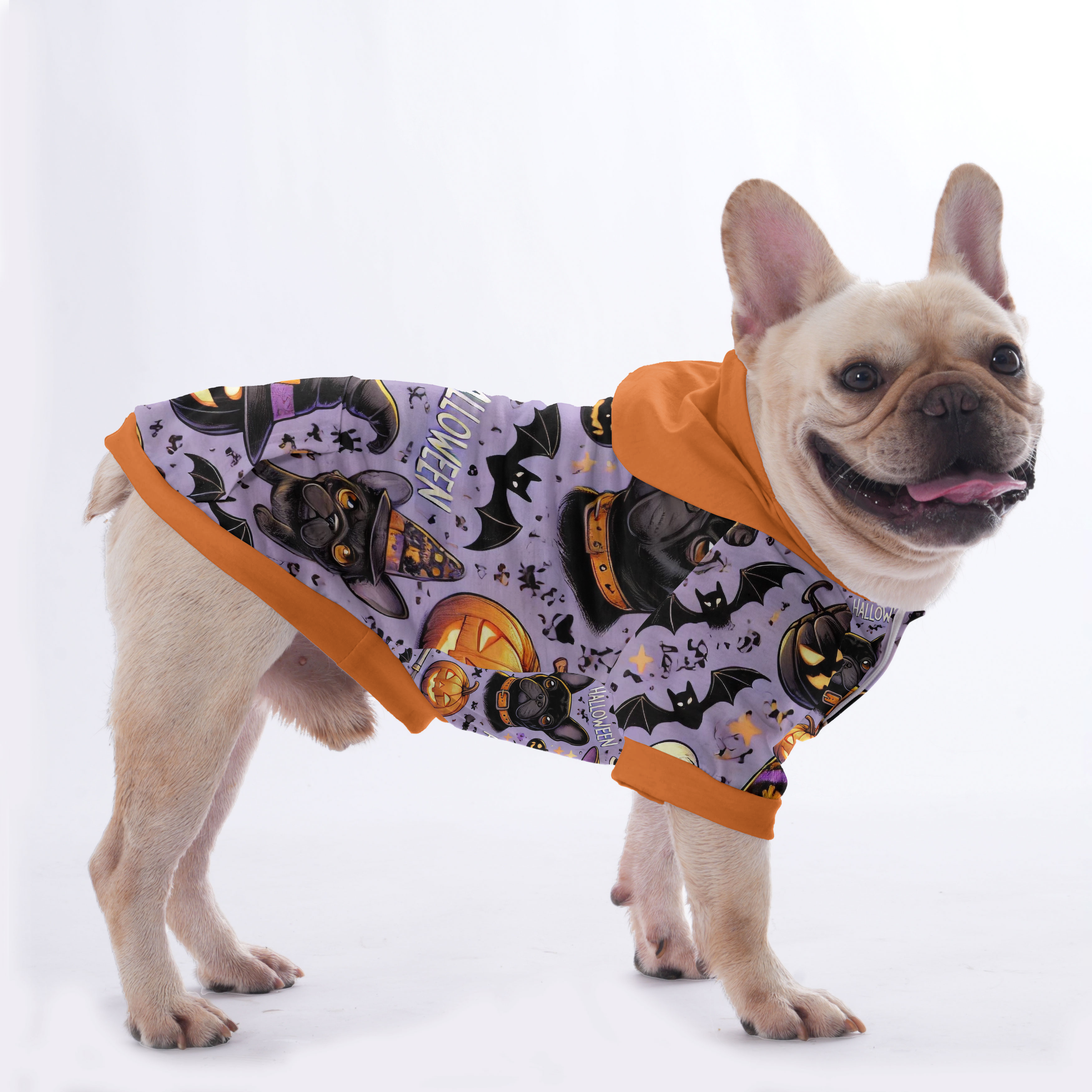 French Bulldog Halloween Costumes for 2025
