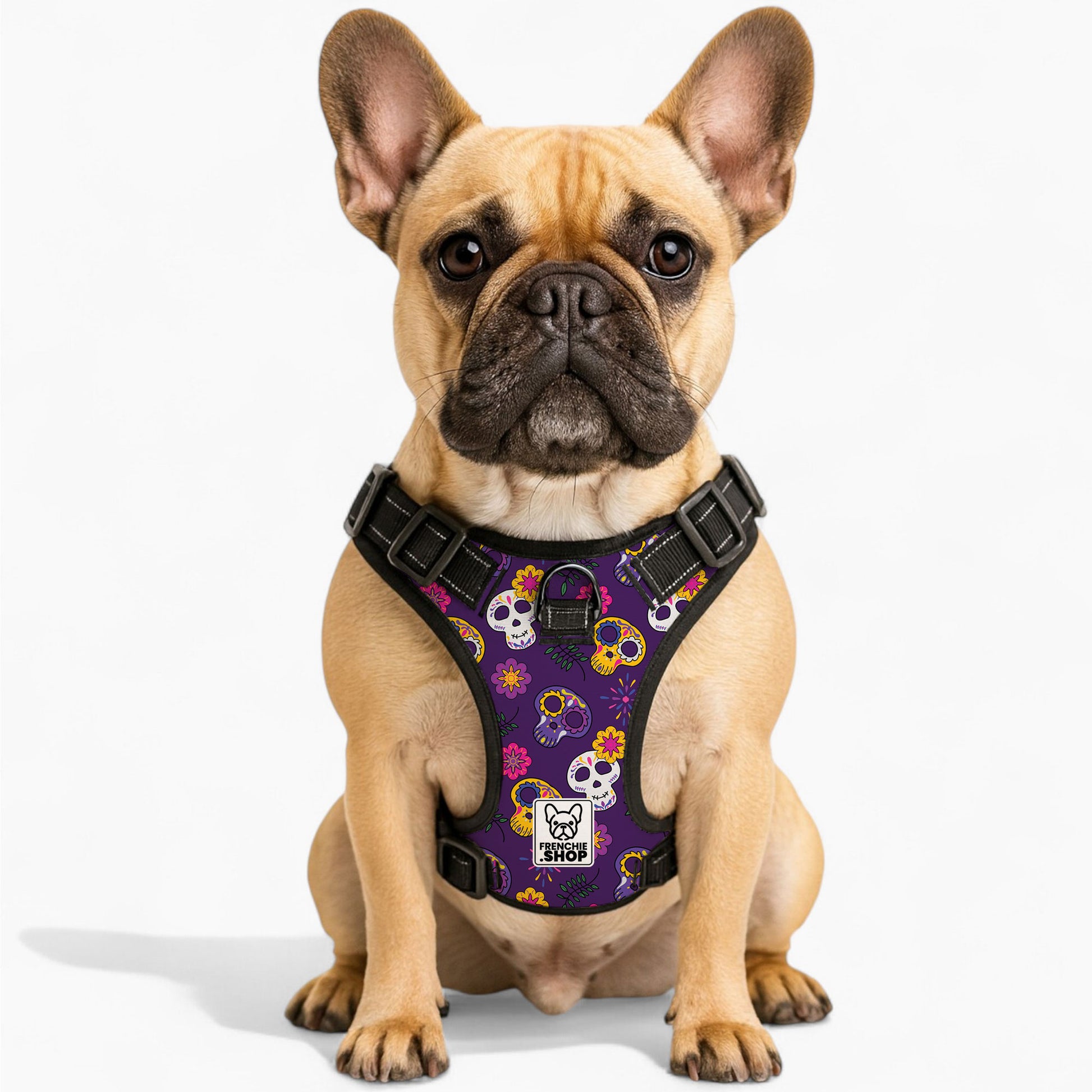Kobe No-Pull Dog Harness