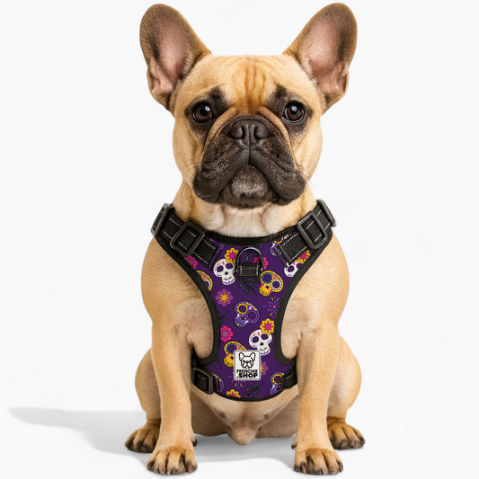Kobe No-Pull Dog Harness