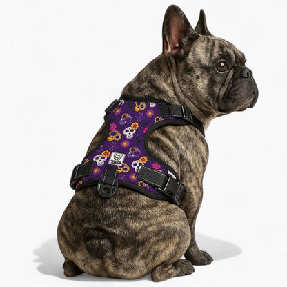 Kobe No-Pull French Bulldog Dog Harness