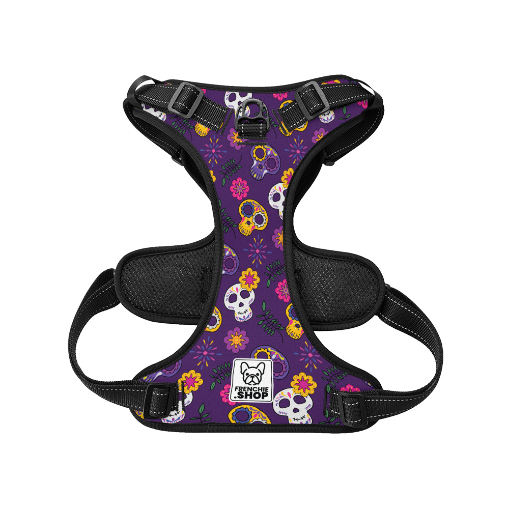 Kobe No-Pull French Bulldog Harness