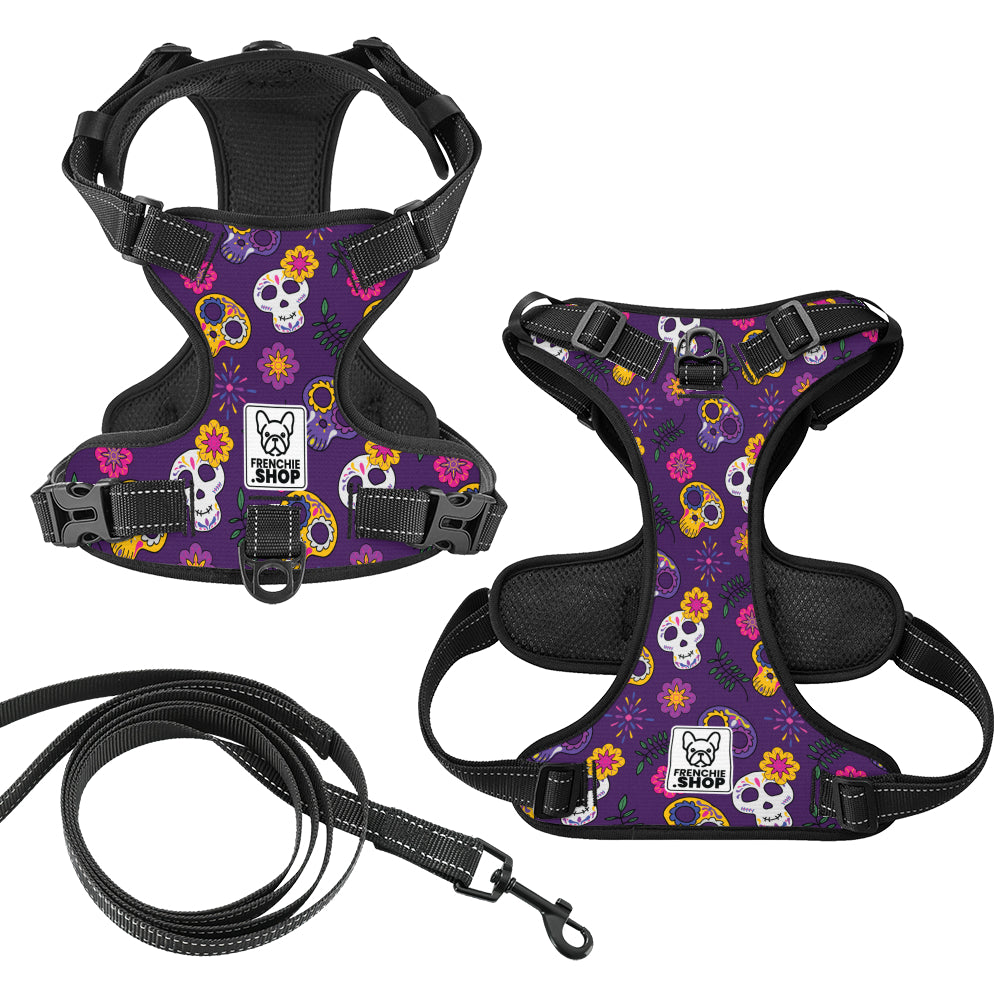 Kobe No-Pull French Bulldogs Harness