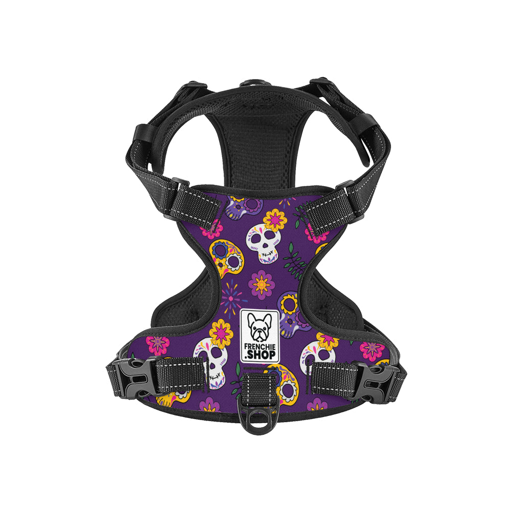 Kobe No-Pull Frenchie Harness