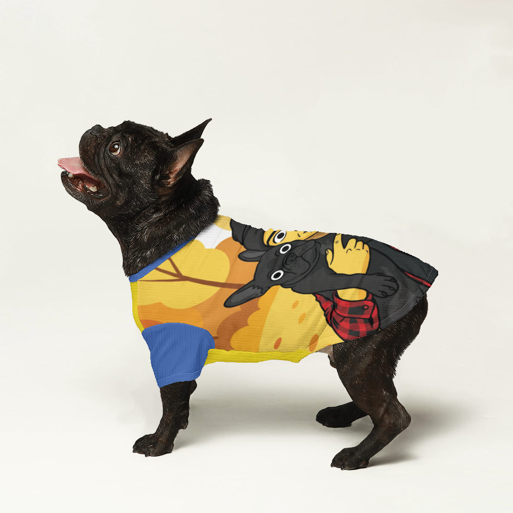 Thunder - Personalized Wool Sweater for Frenchies