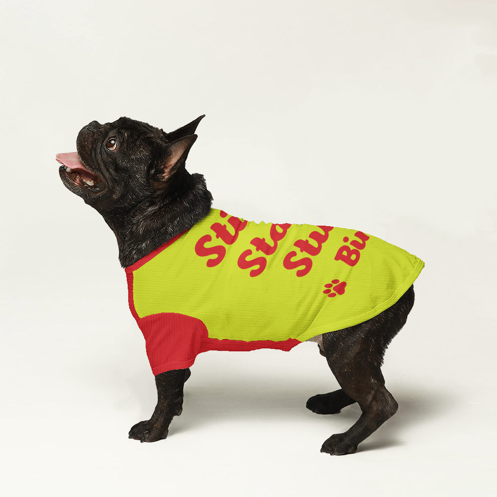 Inky - Personalized Wool Sweater for Frenchies