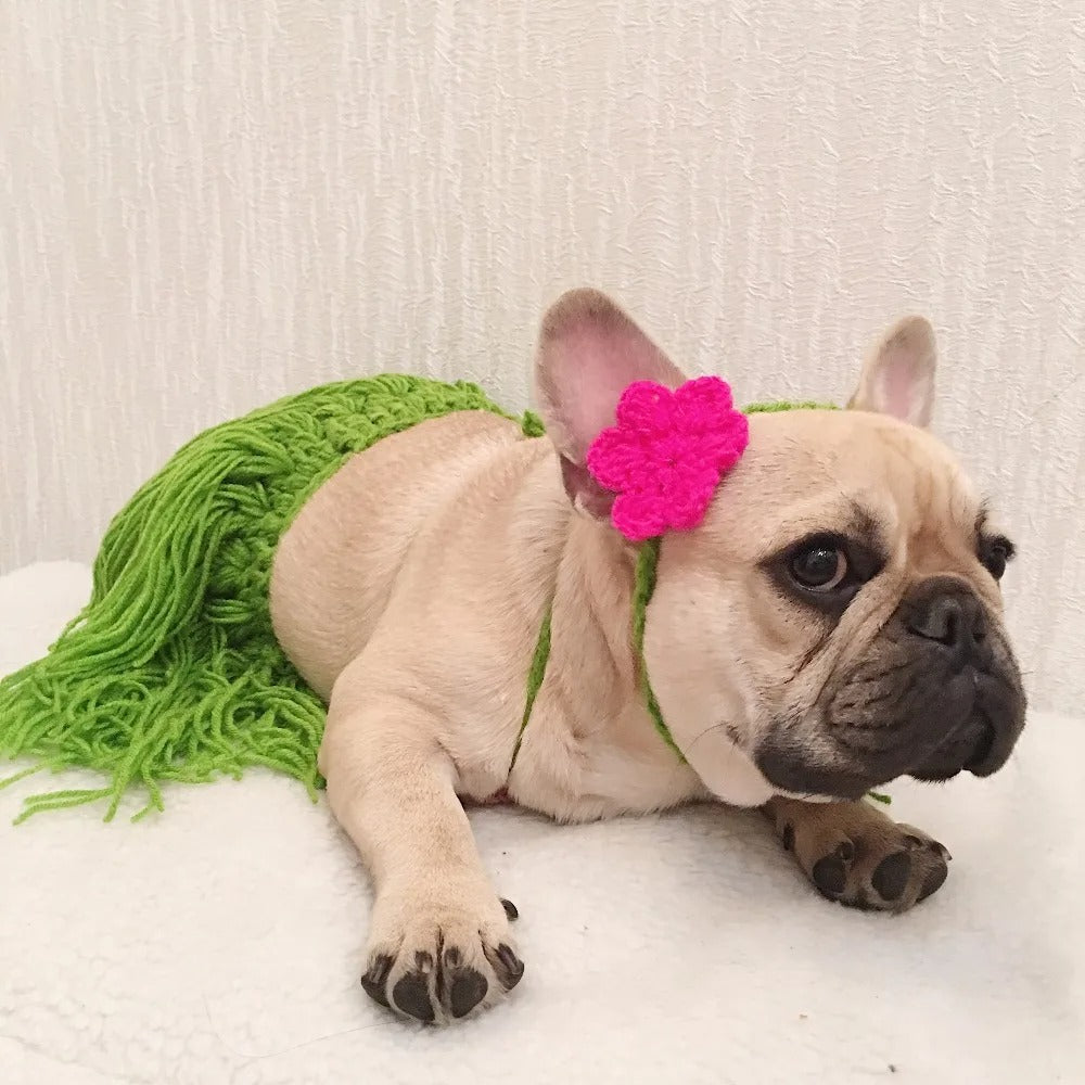LeiPup-Frenchie-Hawaiian-Bikini-Costume.jpg
