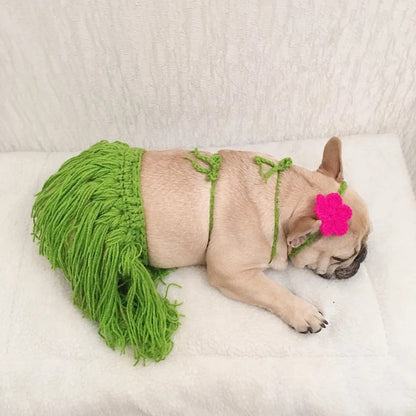 LeiPup-Frenchie-Hawaiian-Bikini-Costume.jpg