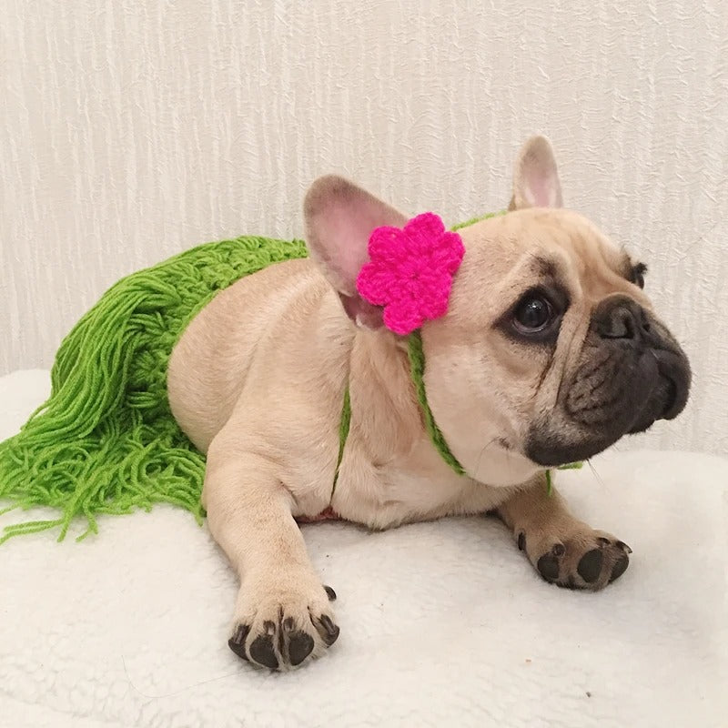 LeiPup-Frenchie-Hawaiian-Bikini-Costume.jpg