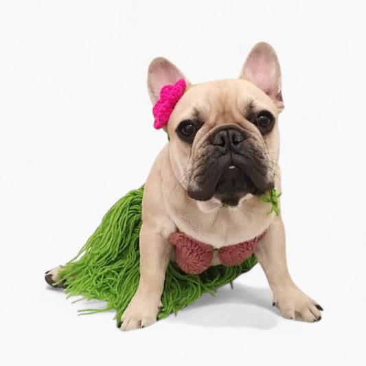 LeiPup-Frenchie-Hawaiian-Bikini-Costume.jpg